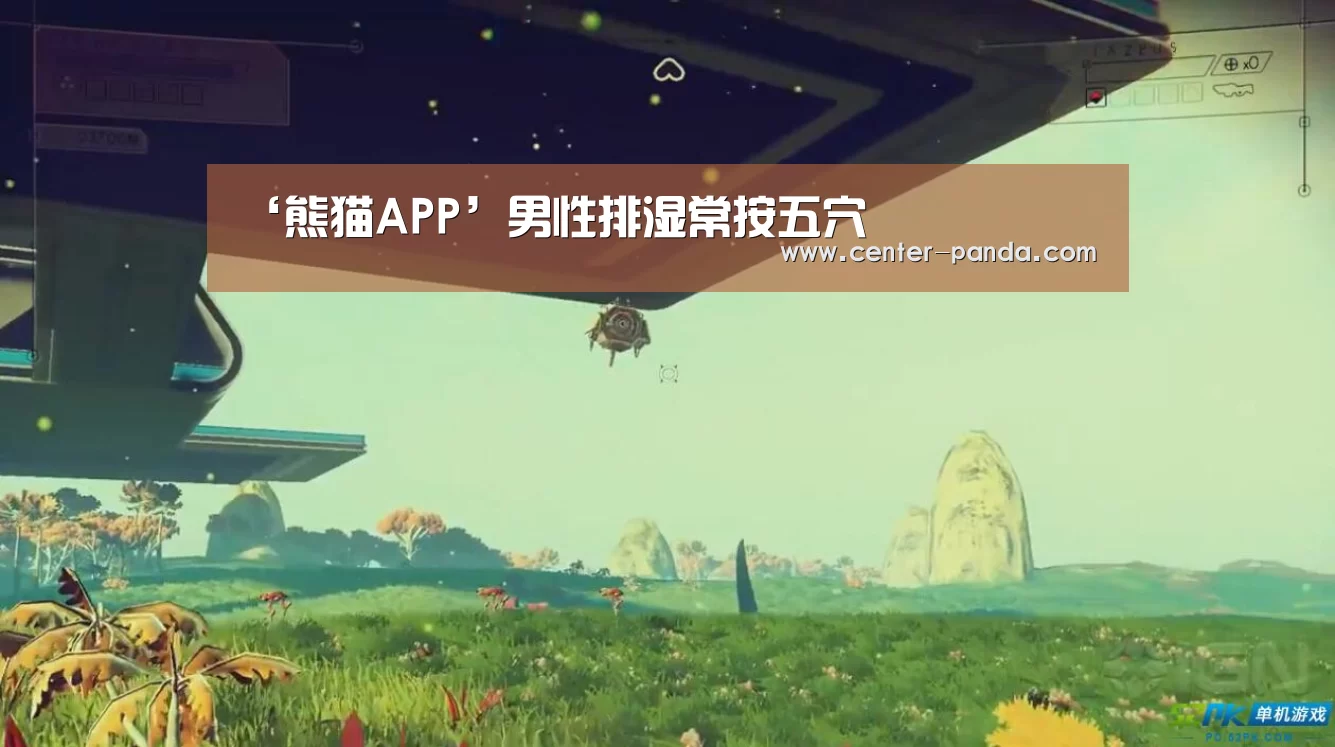 熊猫体育平台