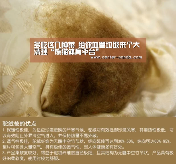 多吃这几种菜 给你血管垃圾来个大清理“熊猫体育平台”(图2) 熊猫APP