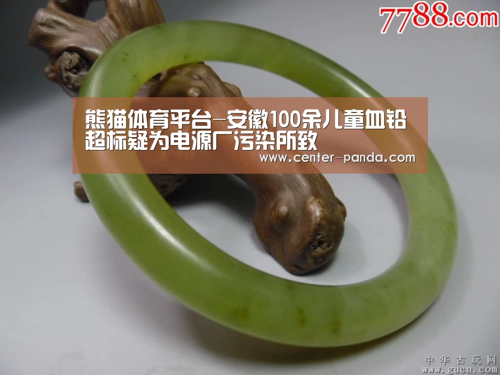 熊猫体育平台-安徽100余儿童血铅超标疑为电源厂污染所致(图2) 熊猫体育平台