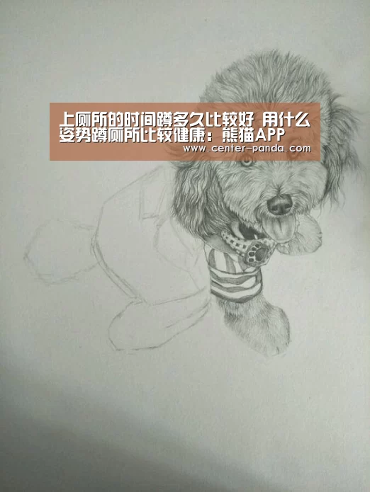 熊猫APP