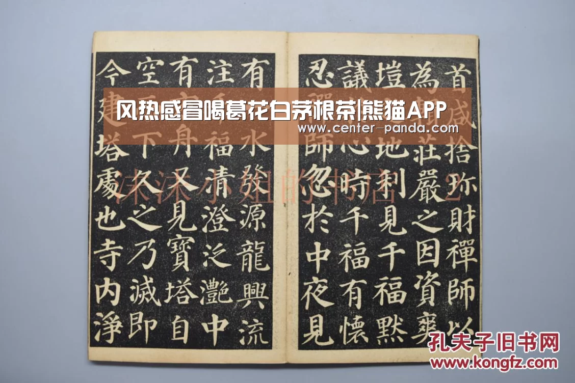 熊猫体育官网